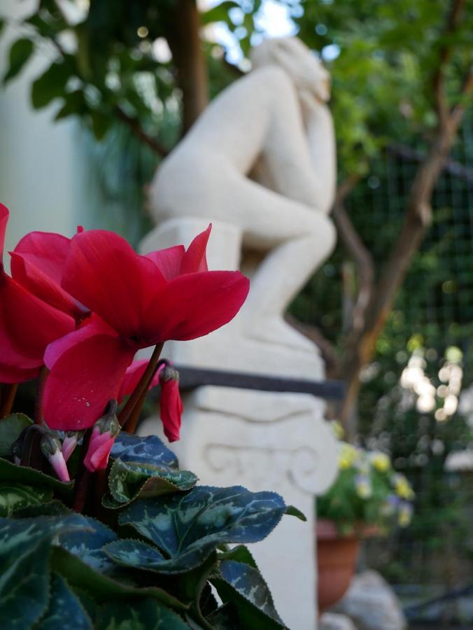Donna Nicla B&B Matera Ngoại thất bức ảnh